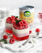 Load image into Gallery viewer, Nature's Charm Evaporated Oat Milk 360ml-Five Vegans