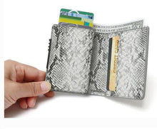 Load image into Gallery viewer, La Enviro Vegan Wallet Snake Grey - Five Vegans